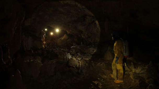 Кирилл Слесаренко