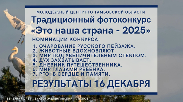 Вечерний слёт