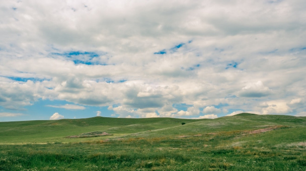 Ислам Шогенов