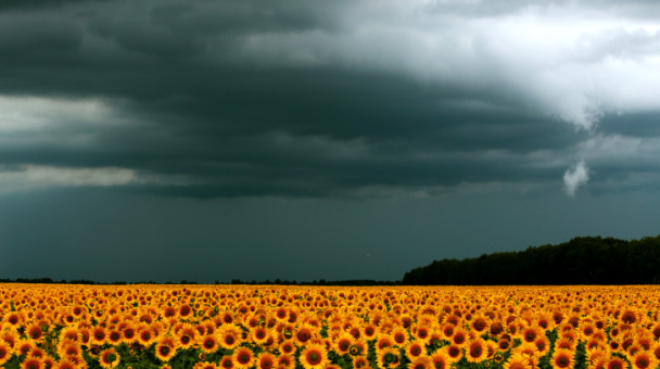 Александр Масенко, участник фотоконкурса РГО "Самая красивая страна"