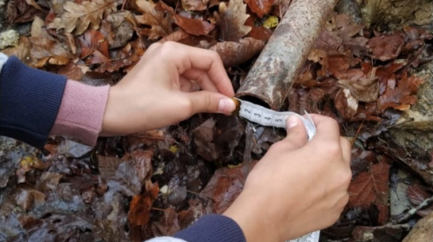 Молодежный клуб РГО