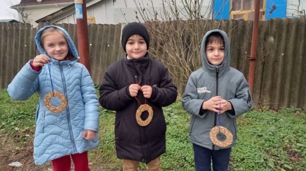 Птичьи кормушки