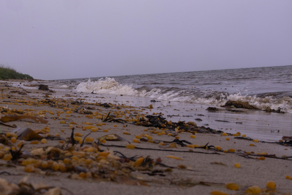 Александр Мокеров