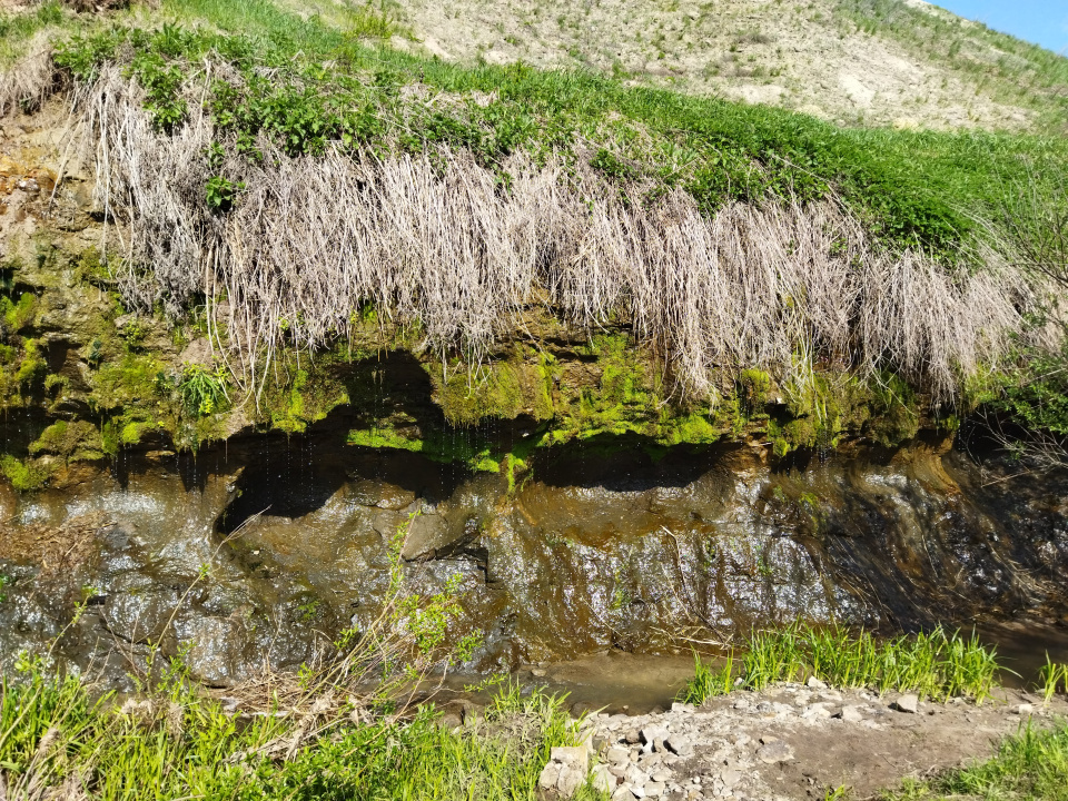 Источник "Стена плача"