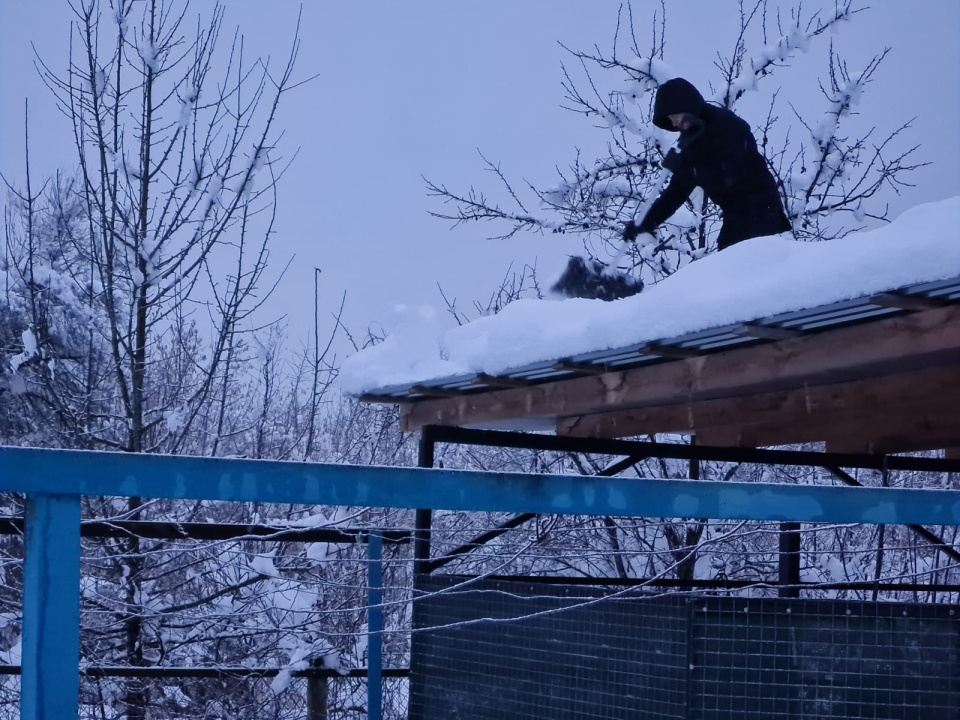 Молодёжный клуб РГО