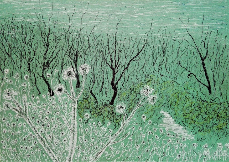 Погода для всех