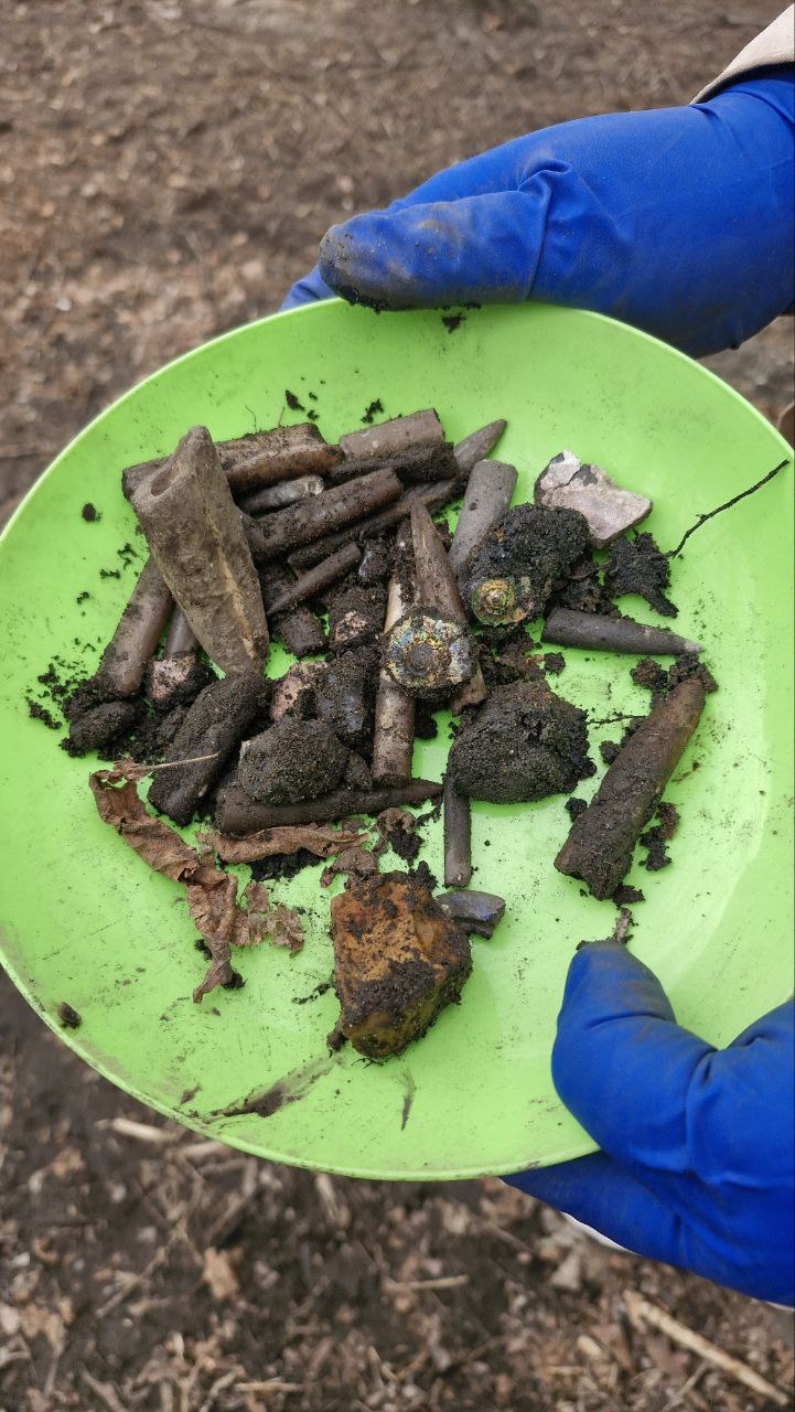 Белемниты и аммониты, найденные при раскопках