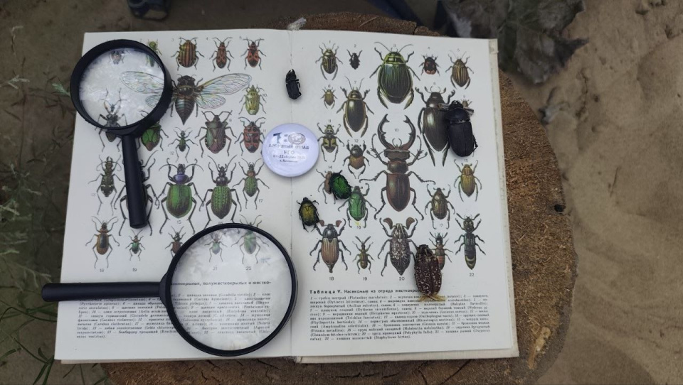 Михаил Данилов