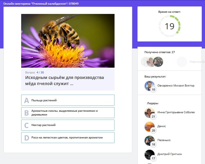 "Пчелиный каледоскоп"