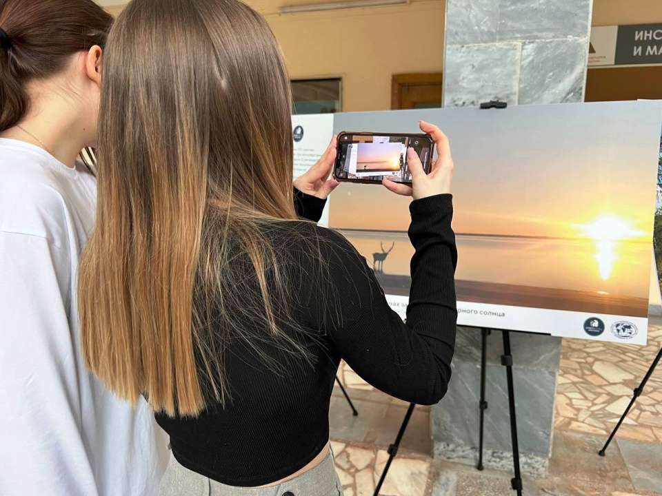 Участники выставки