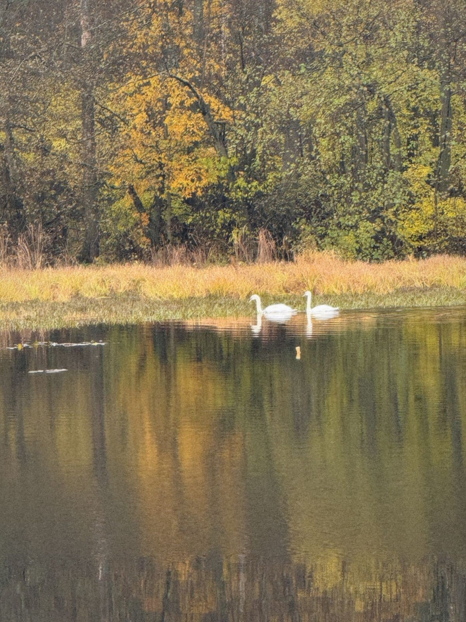 На Святовском озере 