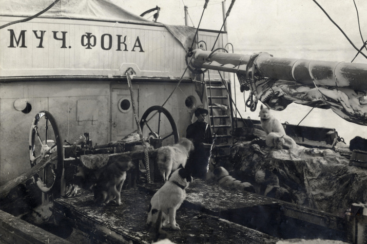 Седов в собаками на шхуне "Святой Фока". Фото: Научный архив РГО