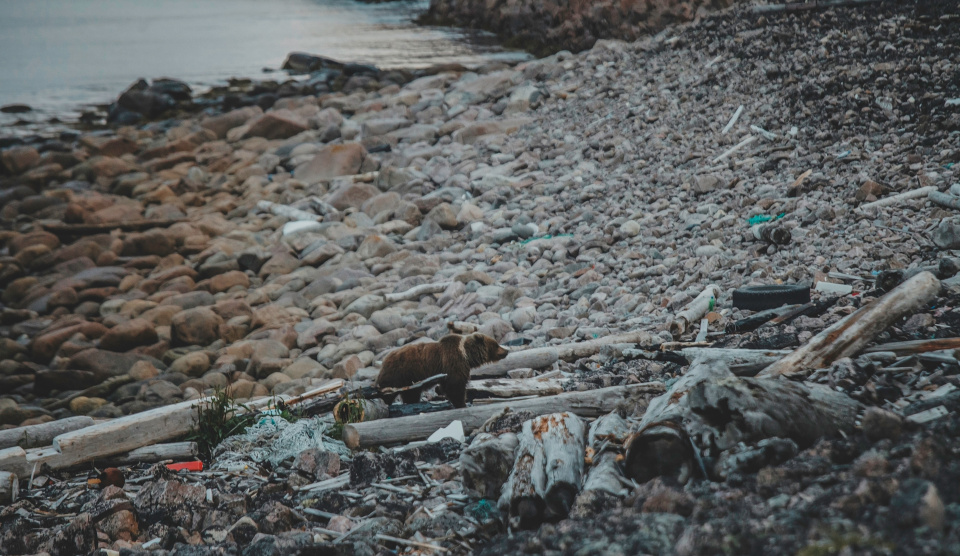 Побережье Северного Ледовитого океана завалено мусором
