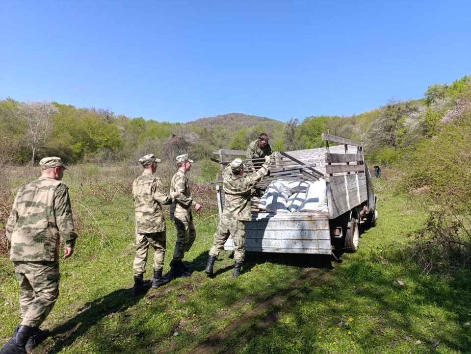 Могила неизвестного летчика