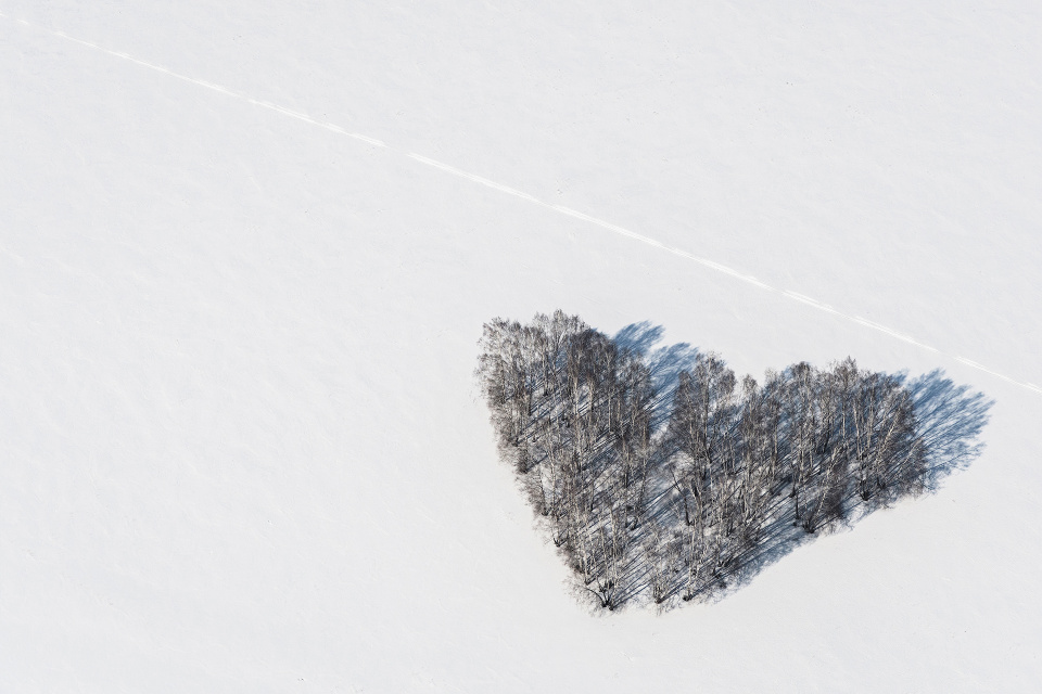 Зимнее сердце (Кемеровская область)