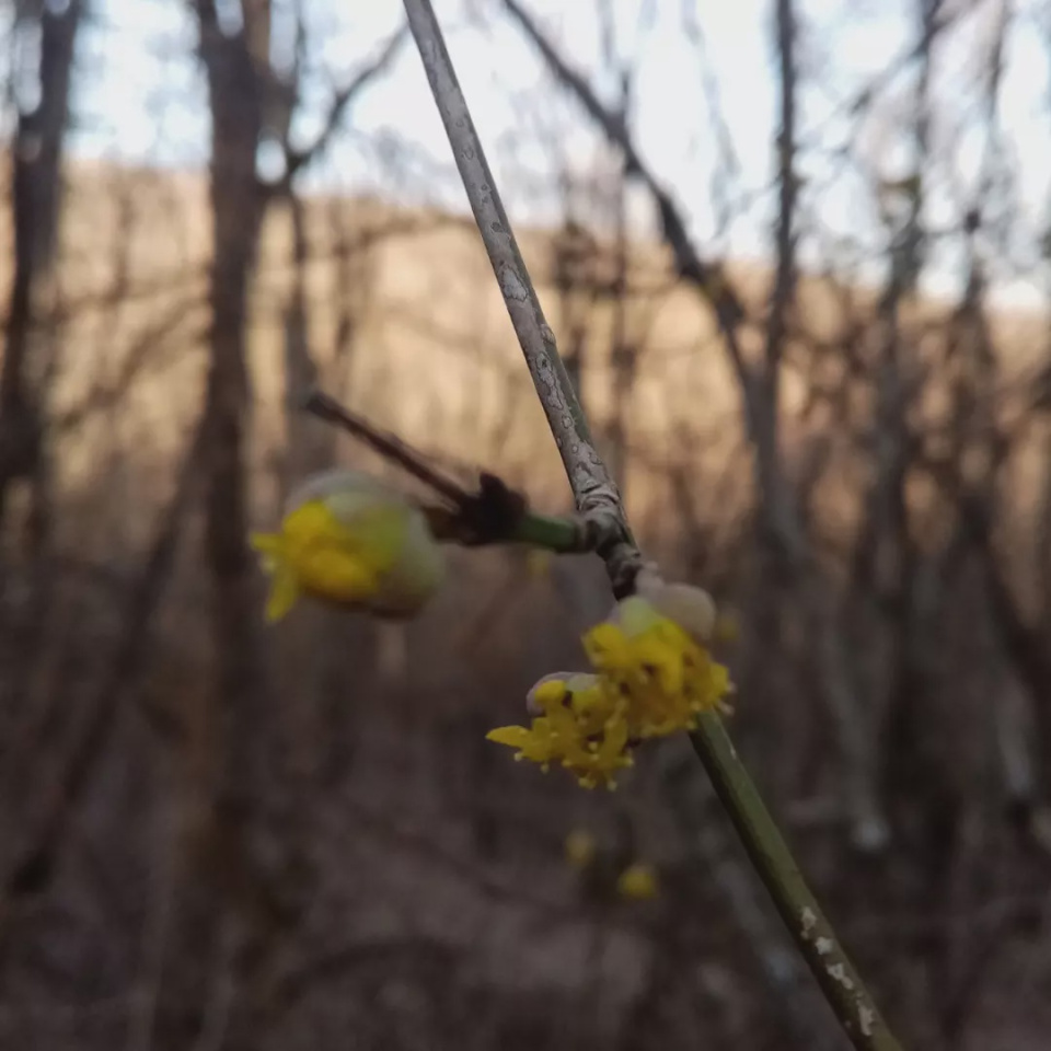 Молодежный клуб РГО "Собер"