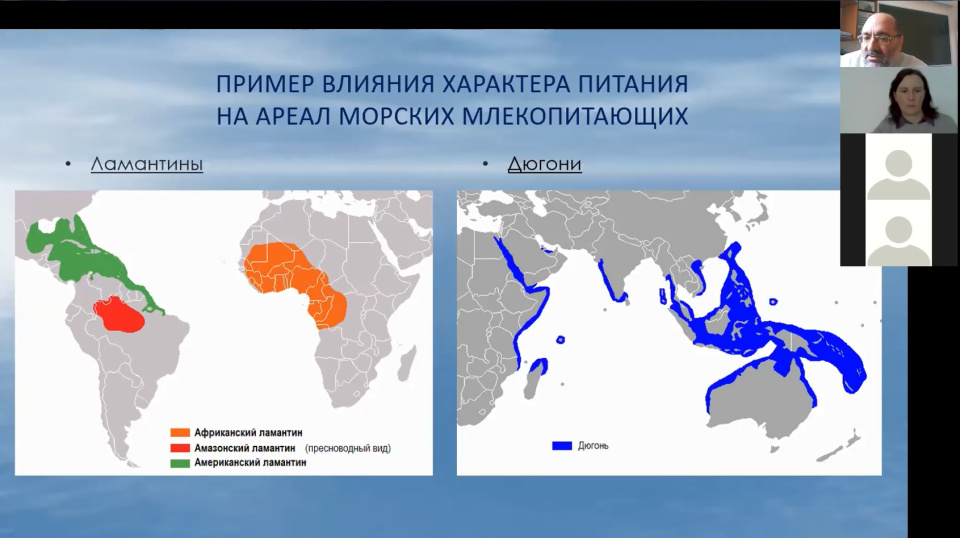 Молодёжный клуб РГО