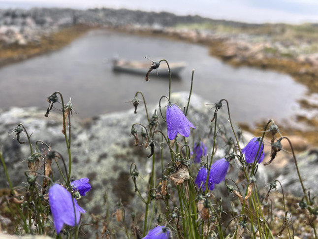 Анастасия Потапова, участник фотоконкурса РГО "Самая красивая страна"
