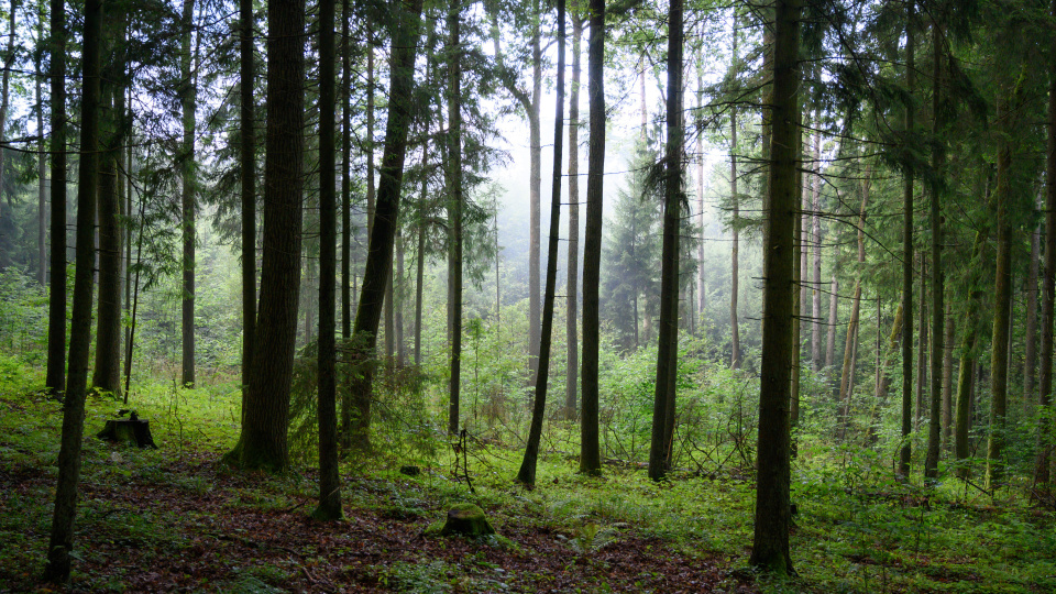 Евгений Кудряшов, участник фотоконкурса РГО "Самая красивая страна"