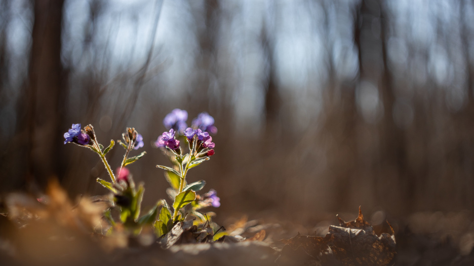 Дмитрий Кузнецов, участник фотоконкурса РГО "Самая красивая страна"