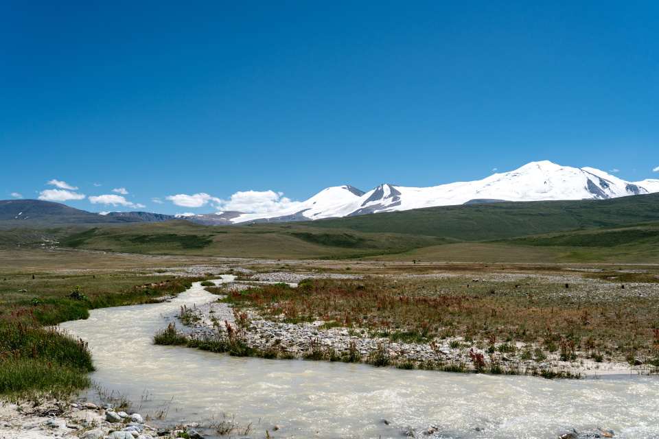 Влада Волкова