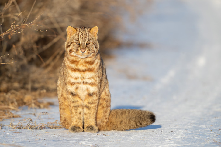 Иван Боровков, участник фотоконкурса РГО "Самая красивая страна"