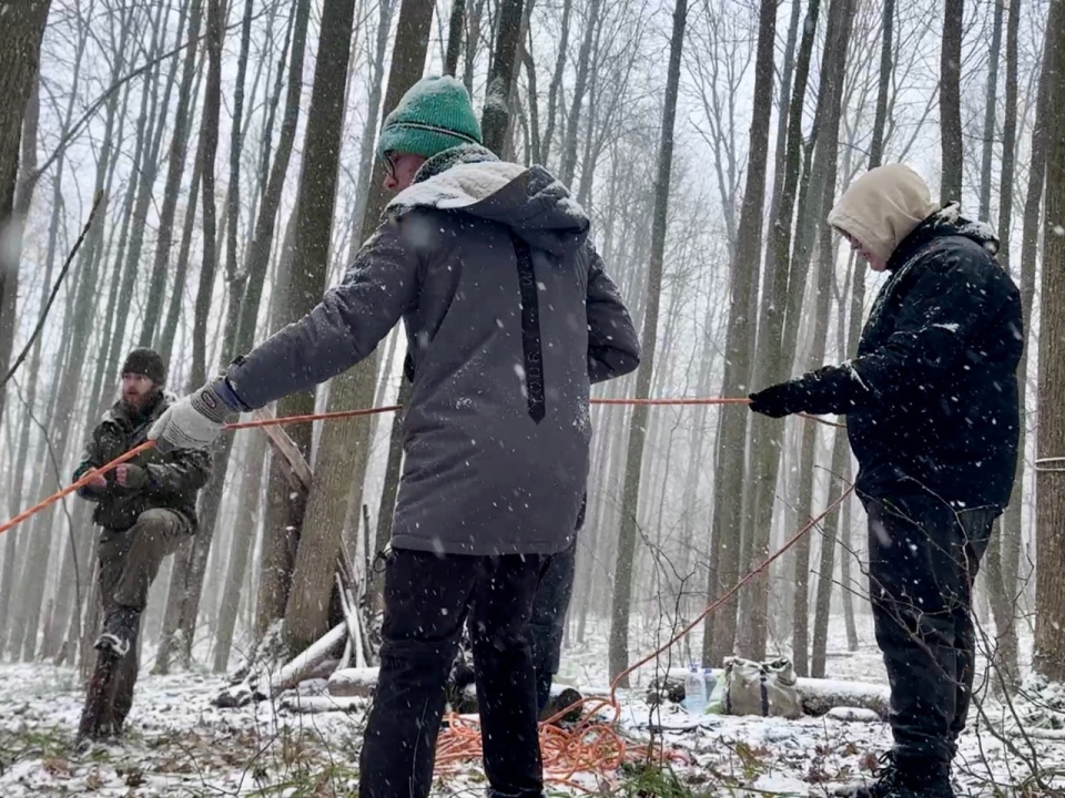 Полевой тренинг