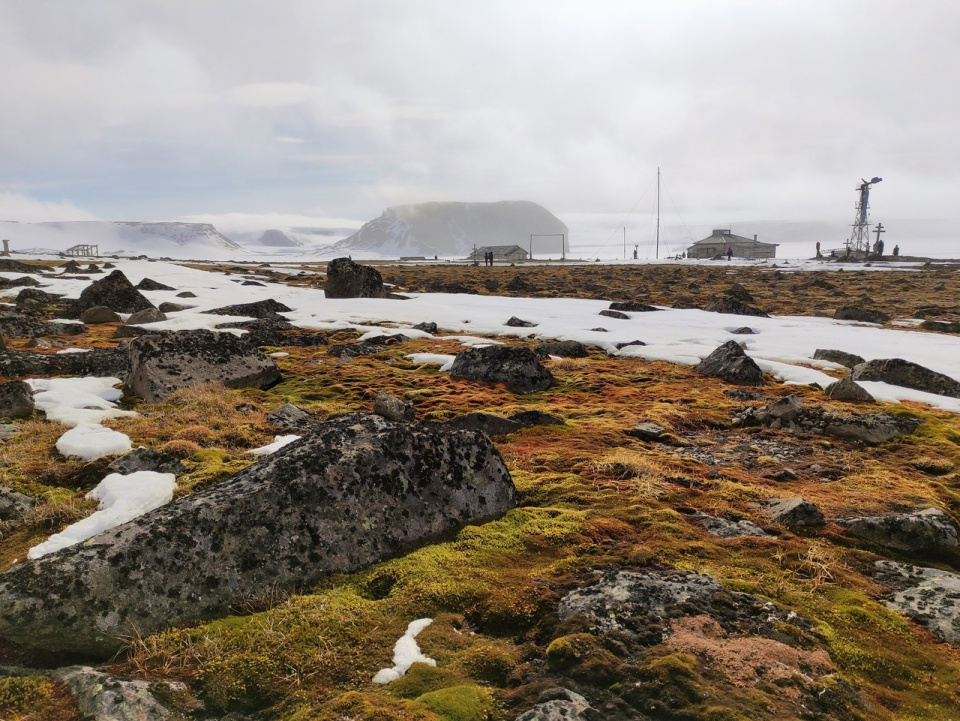 остров Гукера, полярная станция "Бухта Тихая"