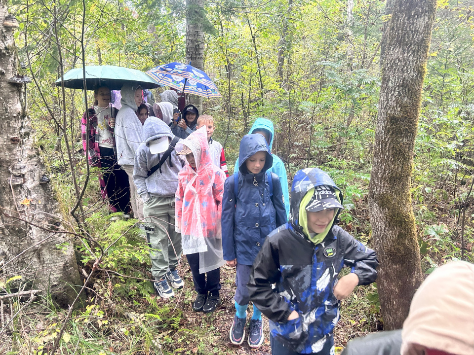 Экологическая тропа