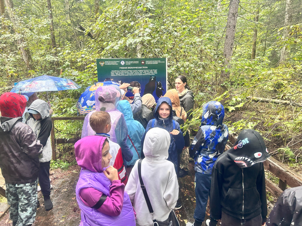 Экологическая тропа