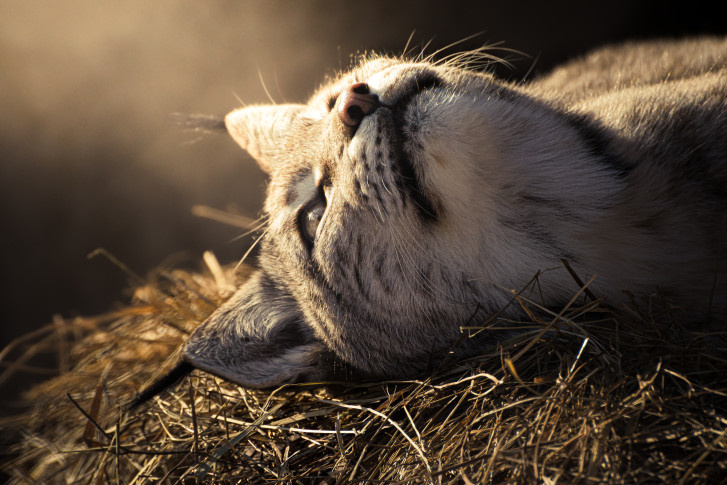 Тихон Терентьев, участник фотоконкурса РГО "Самая красивая страна"