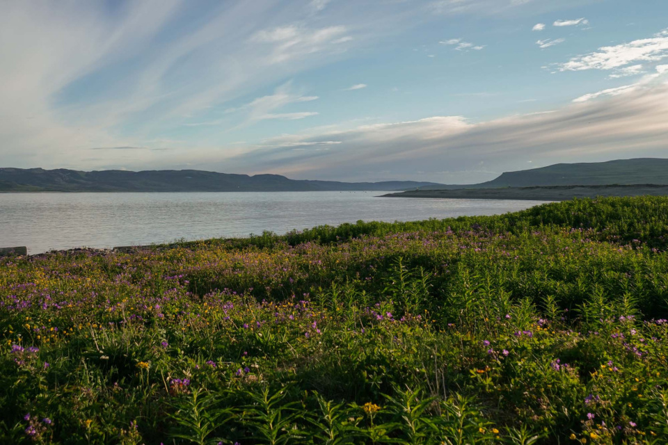 На острове Кильдин На острове Кильдин