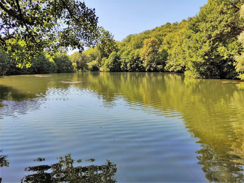 Андреевские пруды - жемчужины Кумысной поляны