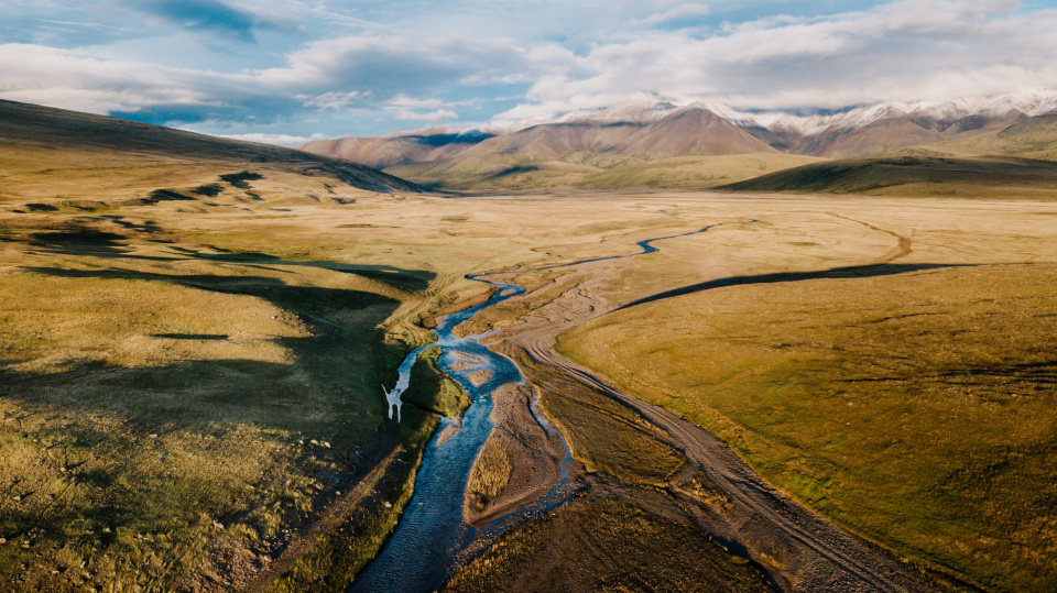 Дракон Укока