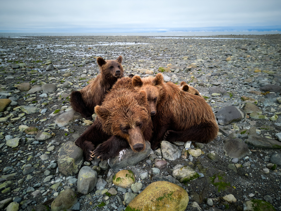 Дмитрий Ханхаев