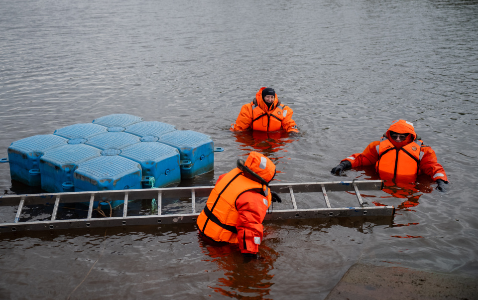 Алеся Стариченко