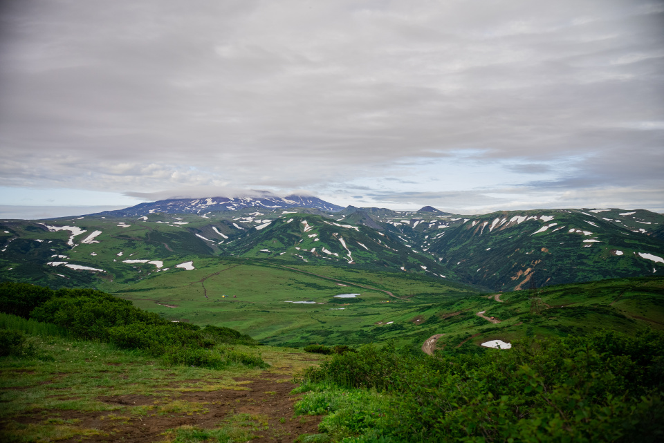 Алеся Стариченко