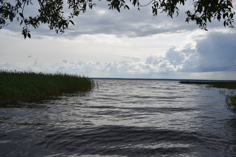 Вячеслав Смольняков
