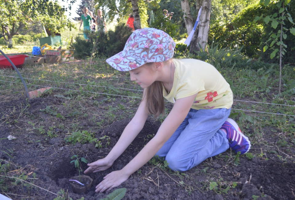 Фестиваль Эколят