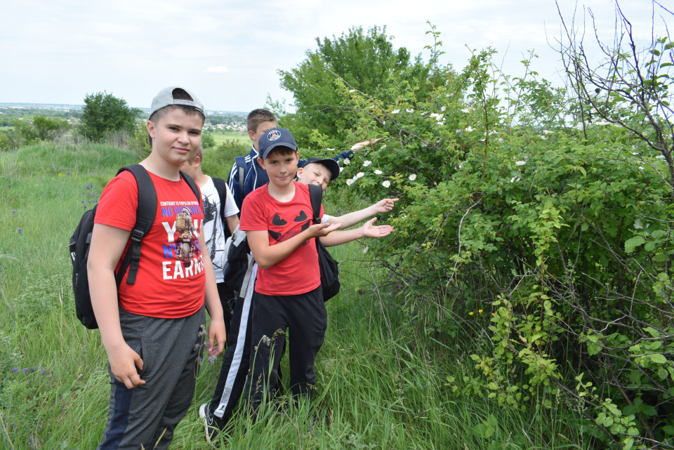 "Ночь географии" в Воронежской области