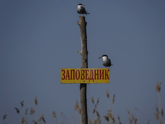 Анна Лукьянчикова, участница фотоконкурса РГО "Самая красивая страна"