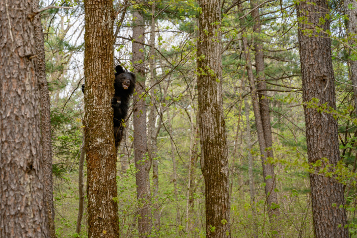 Владимир Чебанов, участник фотоконкурса РГО "Самая красивая страна"