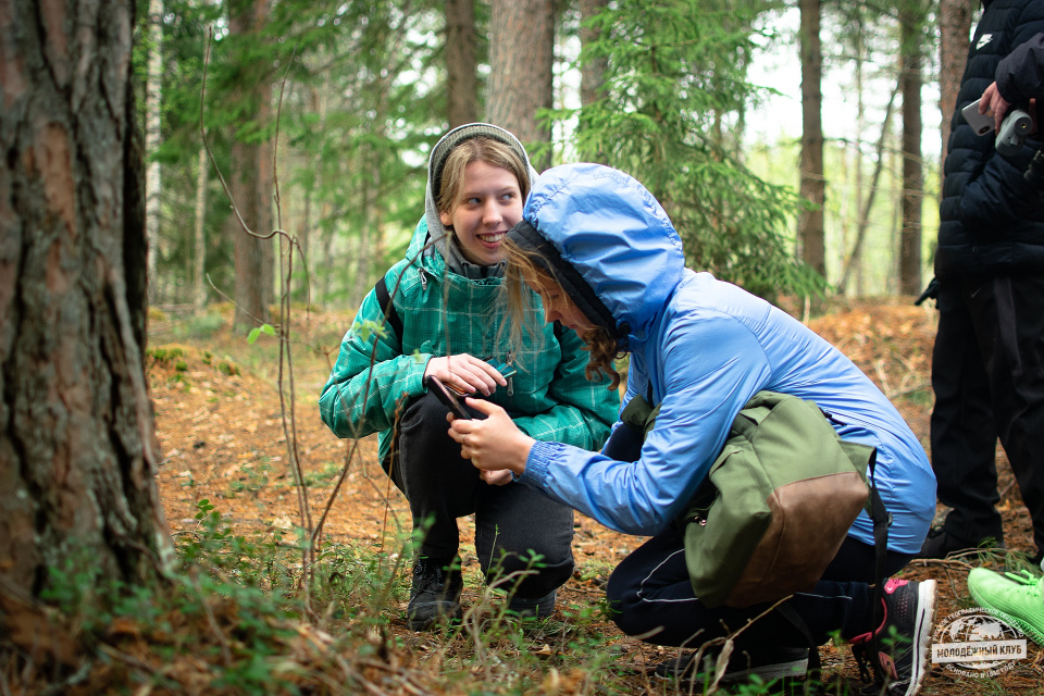 Фенологические наблюдения в сосновых лесах Дюков