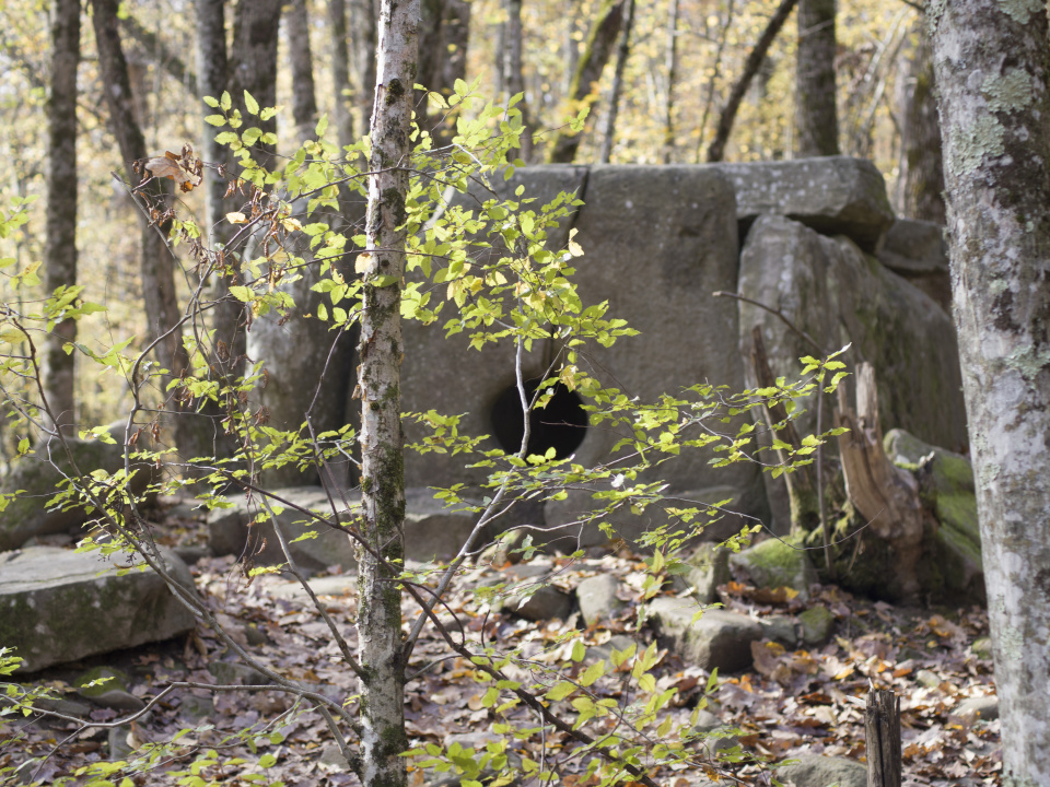 Автор фото Ровкина Ольга, руководитель Молодежного клуба Русского географического общества на базе Северского отделения Краснодарского регионального отделения Автор фото Ровкина Ольга, руководитель Молодежного клуба Русского географического общества на базе Северского отделения Краснодарского регионального отделения