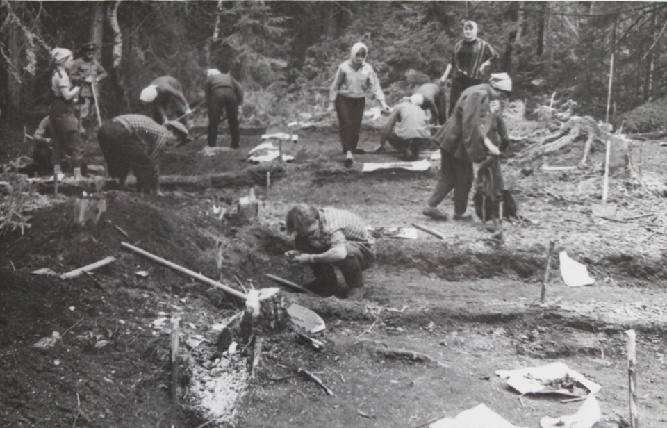 Ирина Давыдова