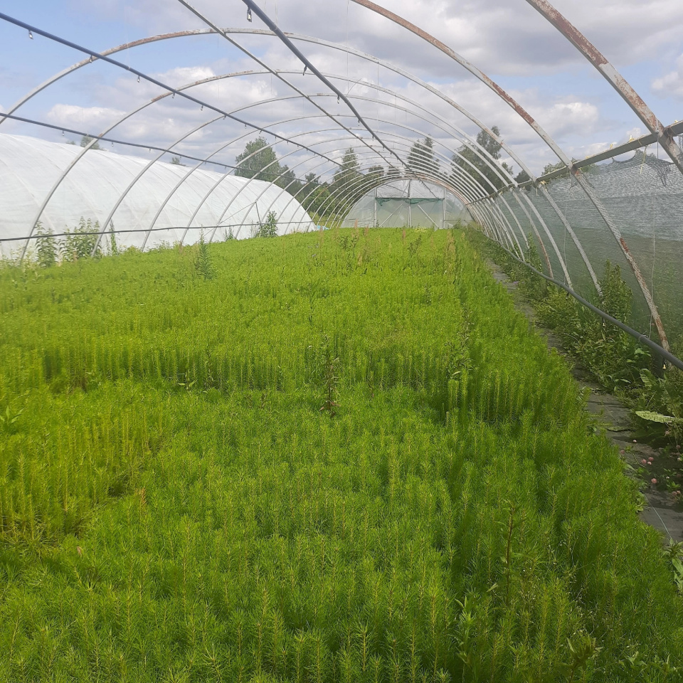 Неурок географии