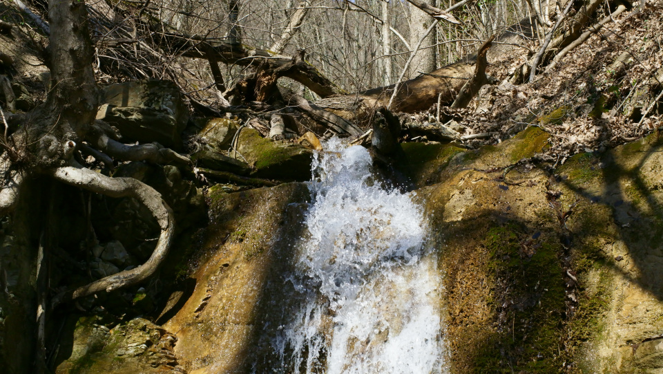 На фото водопад «Мужские слезы» (Омовение) Автор фото Ровкина Ольга, руководитель Молодежного клуба Русского географического общества на базе Северского отделения Краснодарского регионального отделения На фото водопад «Мужские слезы» (Омовение) Автор фото Ровкина Ольга, руководитель Молодежного клуба Русского географического общества на базе Северского отделения Краснодарского регионального отделения