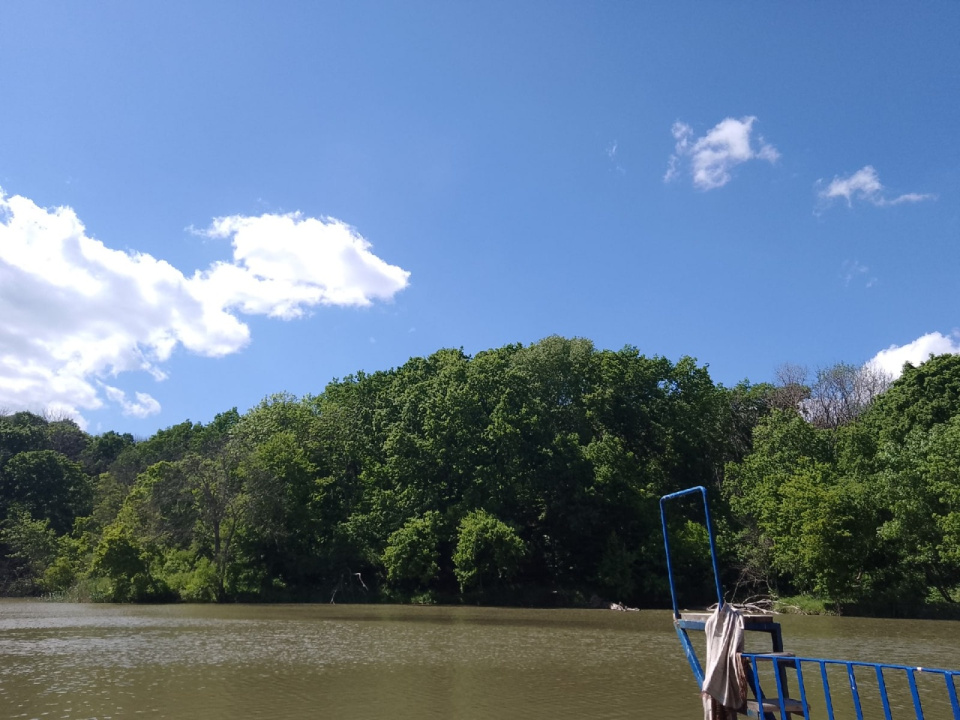 Заповедными тропами родного края. Экспедиция №1