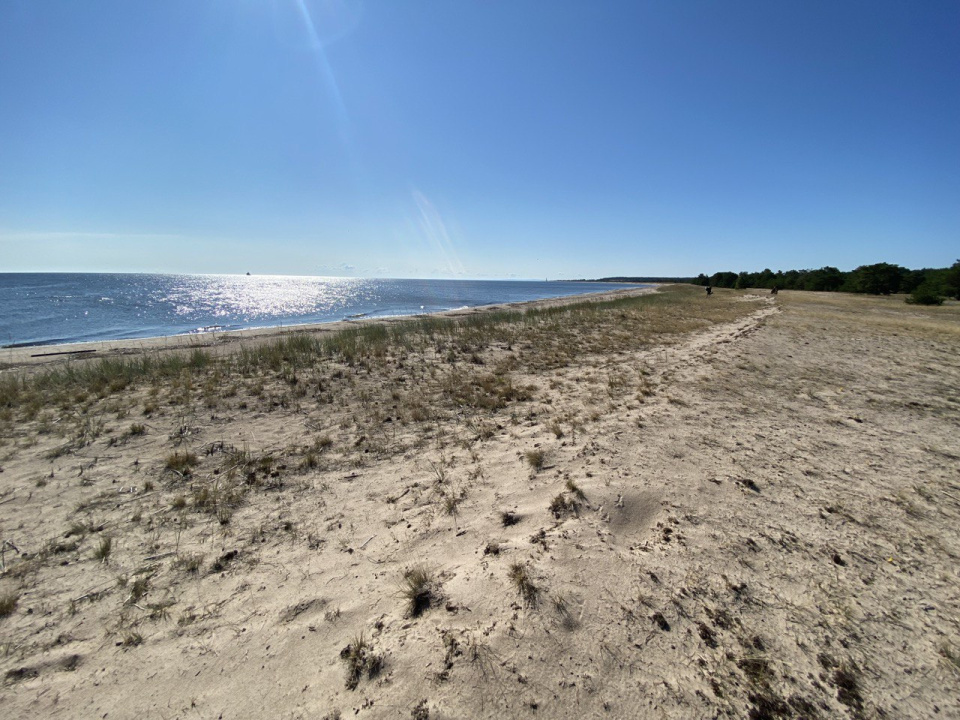 Предоставлено организаторами