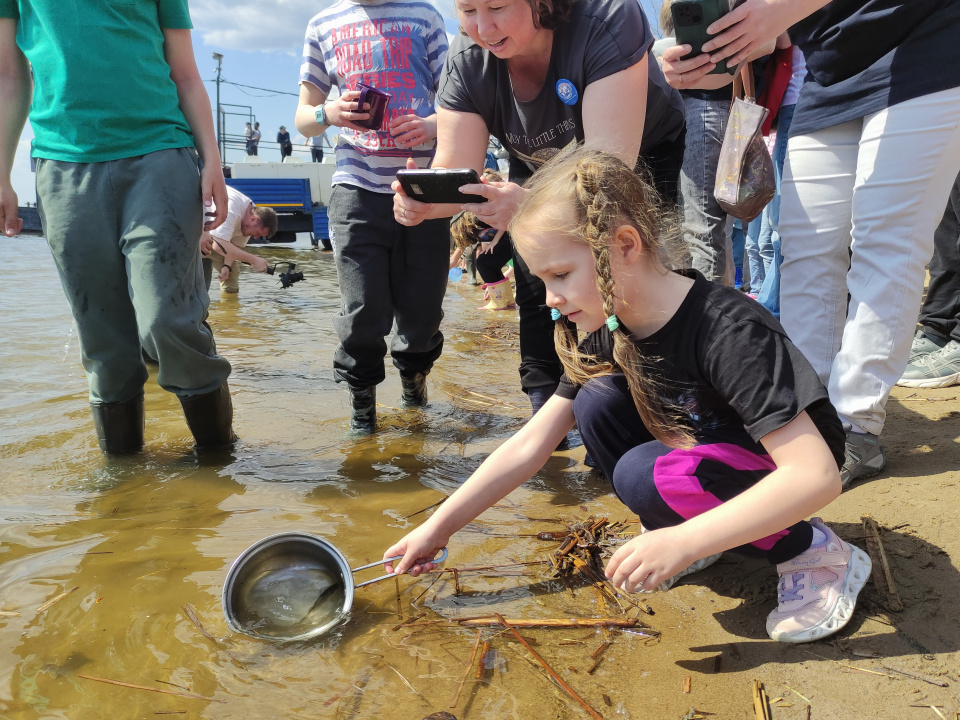 Во время акции "Водорослям – крышка!"